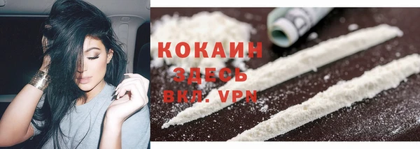 дмт Новодвинск
