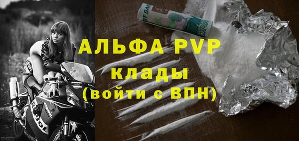 индика Нефтегорск